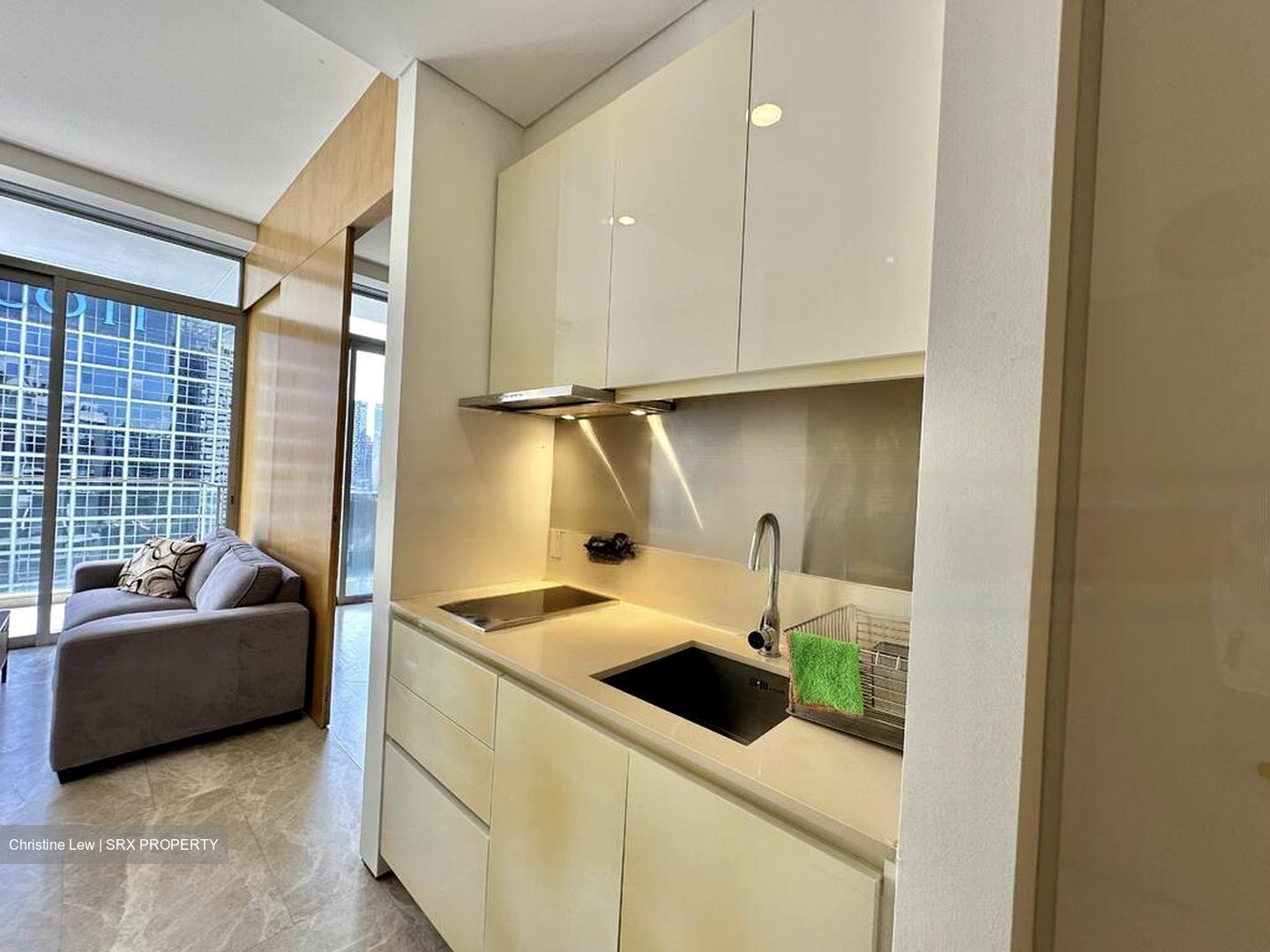 The Laurels (D9), Condominium #458923871